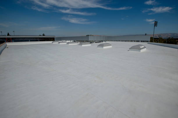 Best Rubber Roofing (EPDM, TPO)  in Pinckney, MI