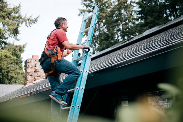 Roof Moss and Algae Removal in Pinckney, MI