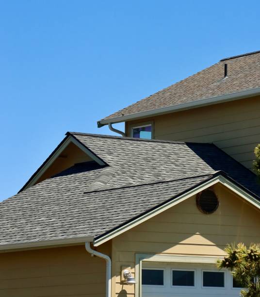 Best Asphalt Shingle Roofing  in Pinckney, MI